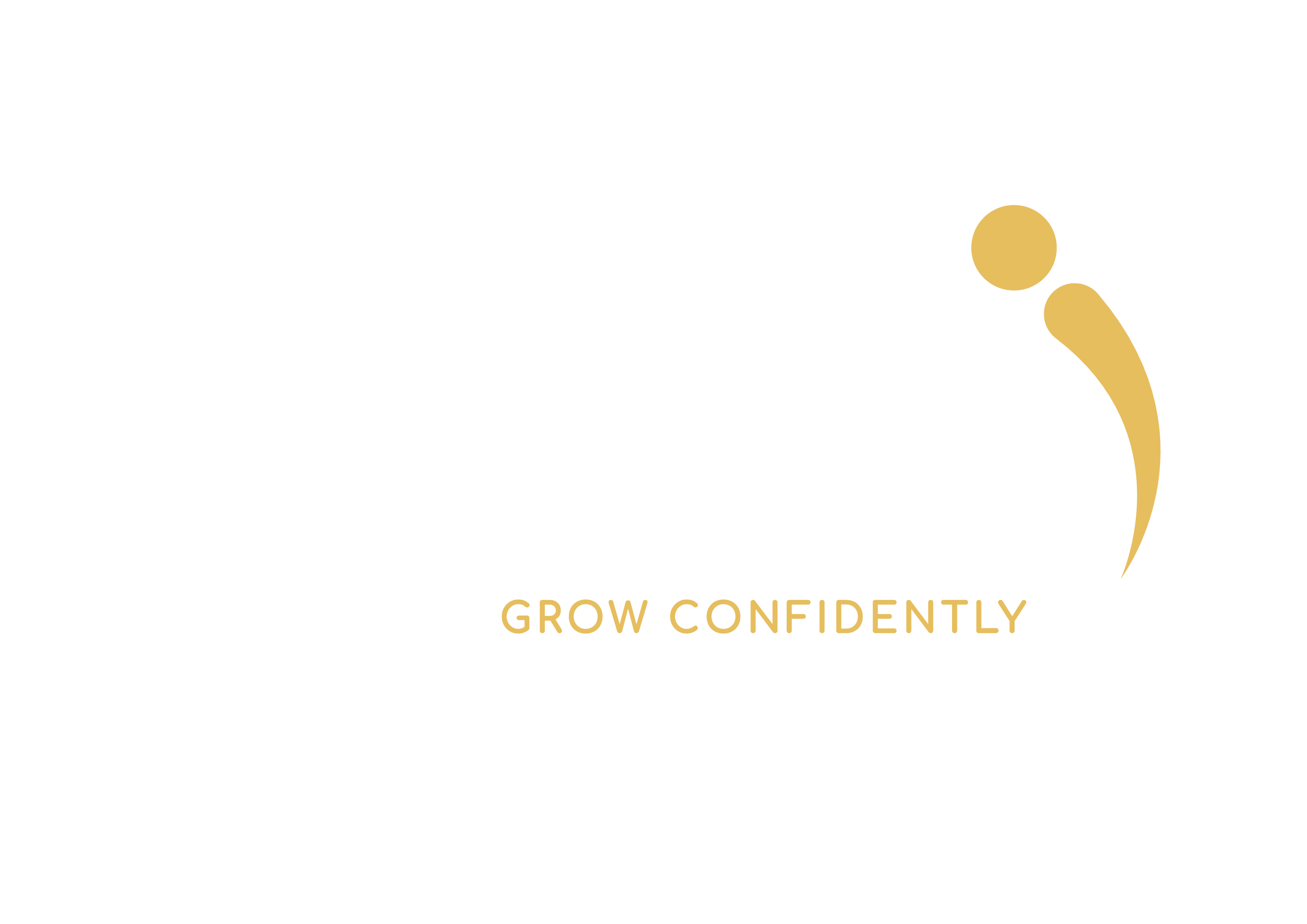 project global logo